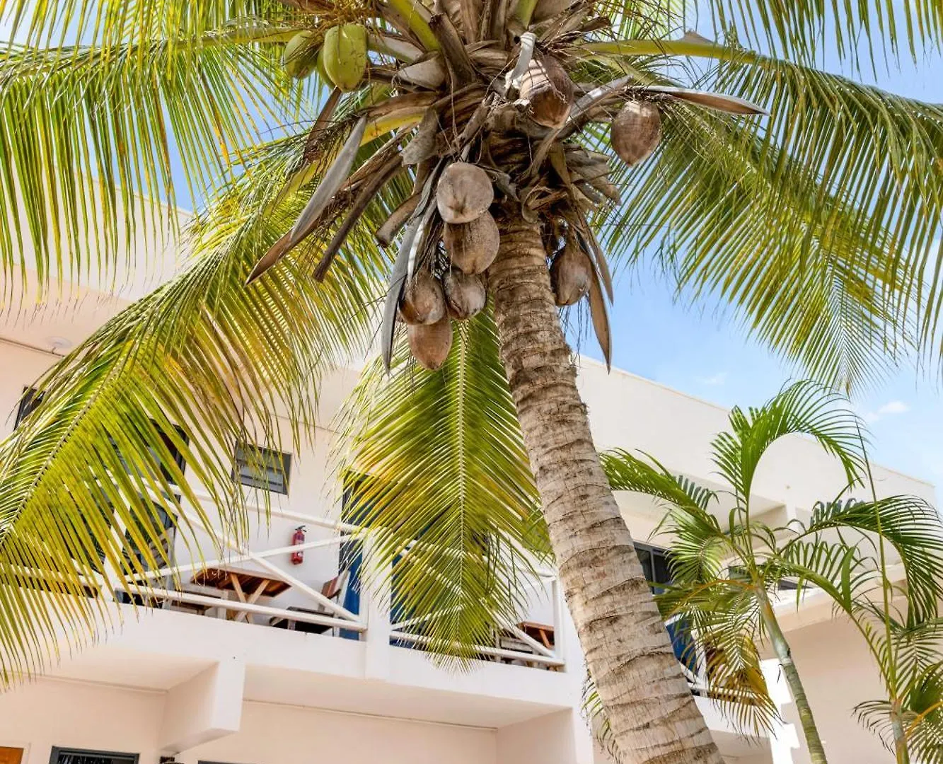 The Hut Bonaire Hotel Kralendijk