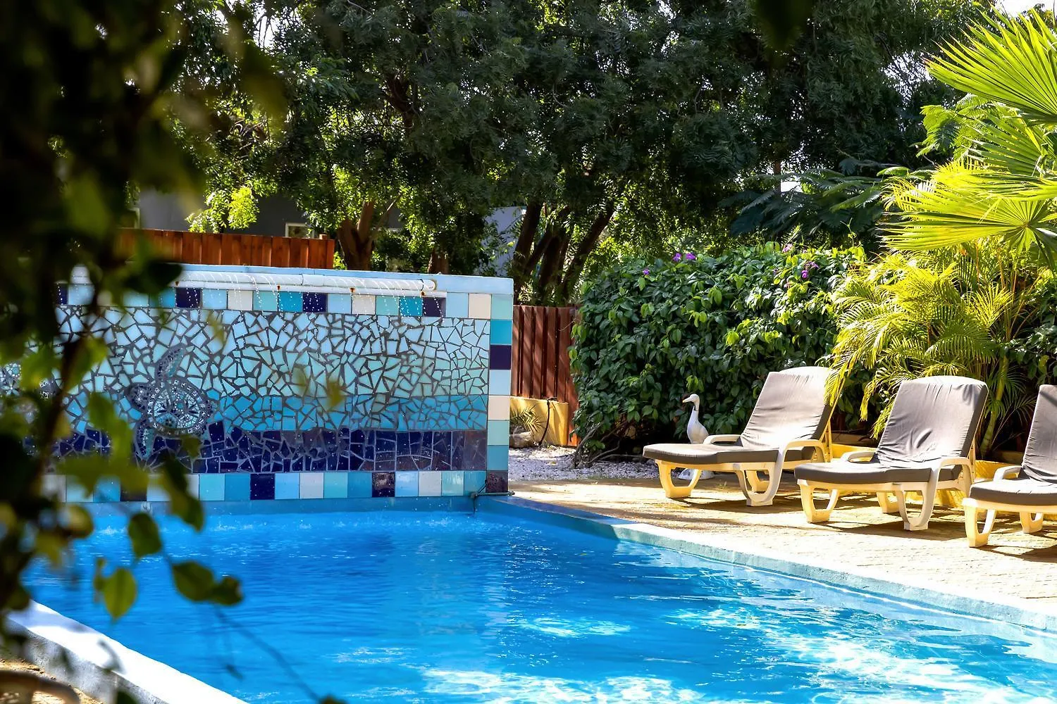 The Hut Bonaire Hotel Kralendijk